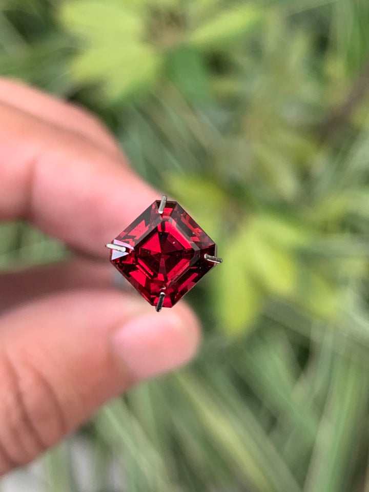 2.65 Carats Faceted Rhodolite Garnet - Noble Gemstones®