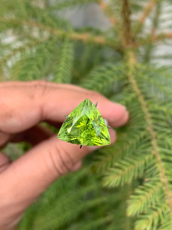 Faceted Trillion Cut Peridot - Noble Gemstones®