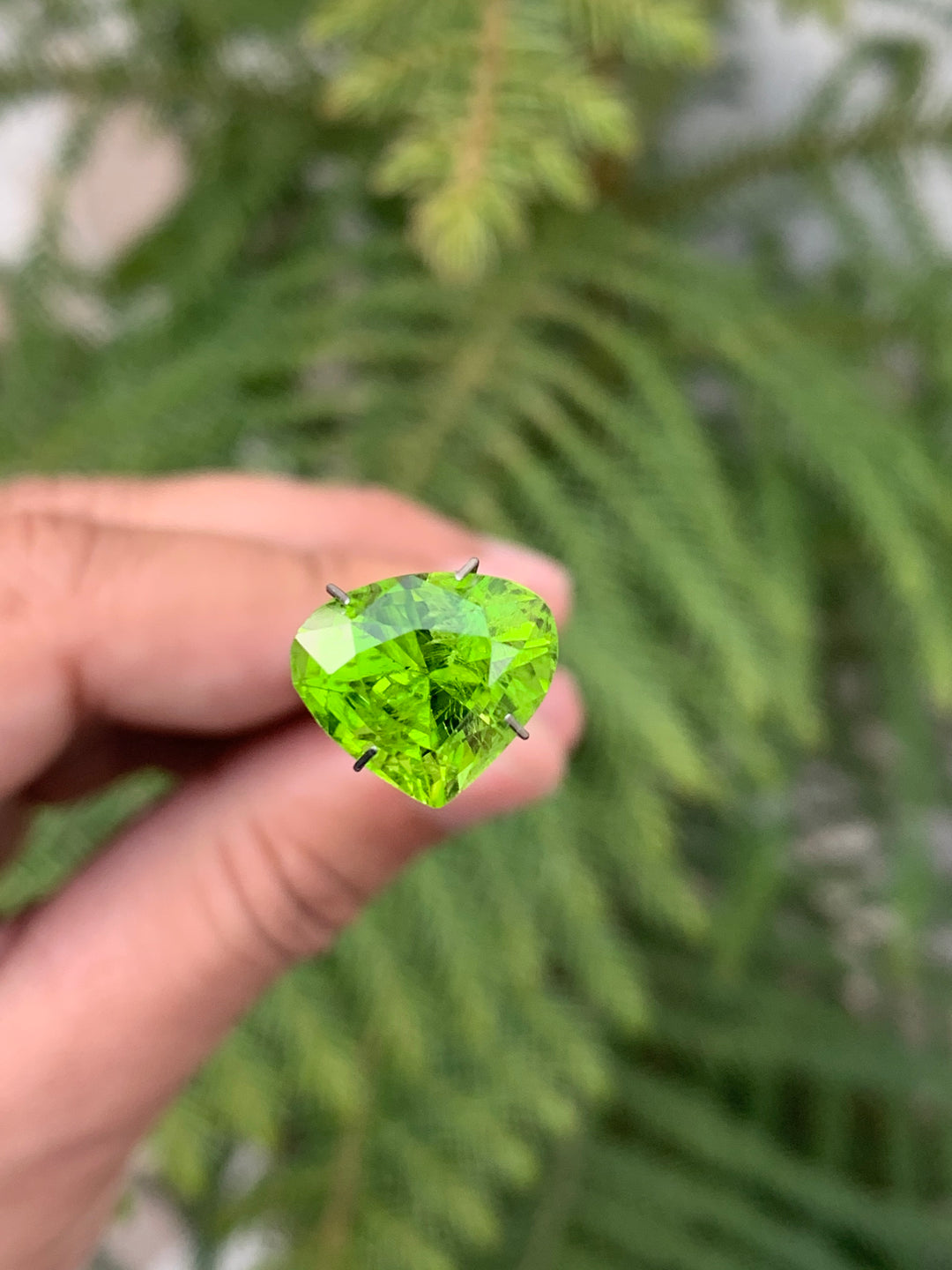 7.20 Carats Faceted Heart  Shaped Peridot - Noble Gemstones®