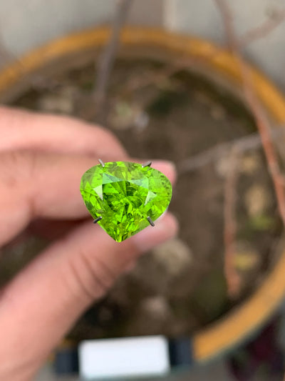 7.20 Carats Faceted Heart  Shaped Peridot - Noble Gemstones®