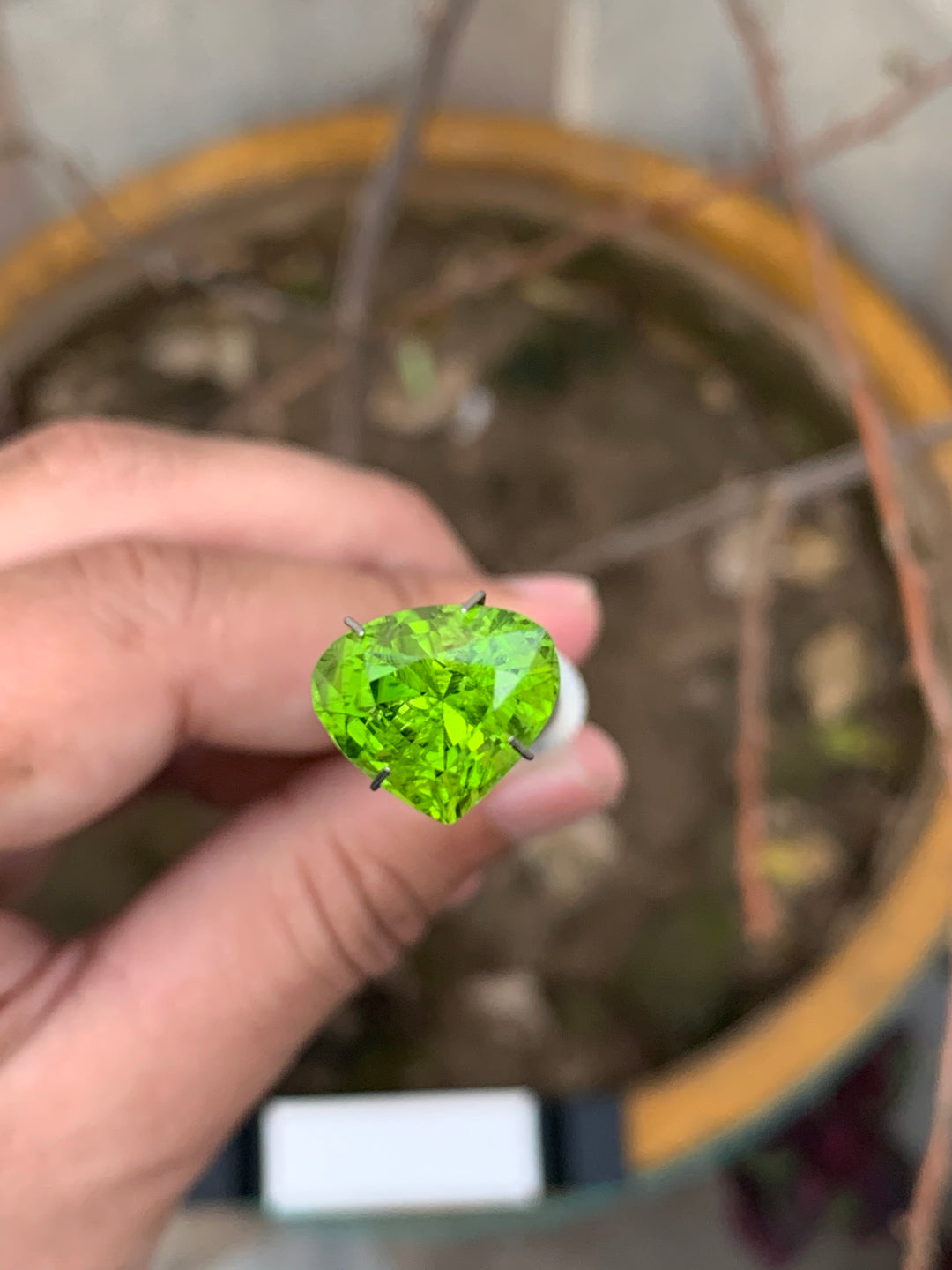 7.20 Carats Faceted Heart  Shaped Peridot - Noble Gemstones®