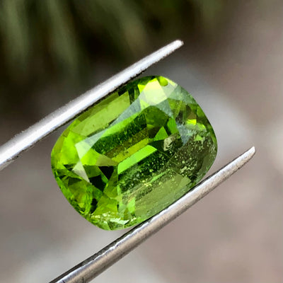 9.55 Carats Faceted Peridot - Noble Gemstones®