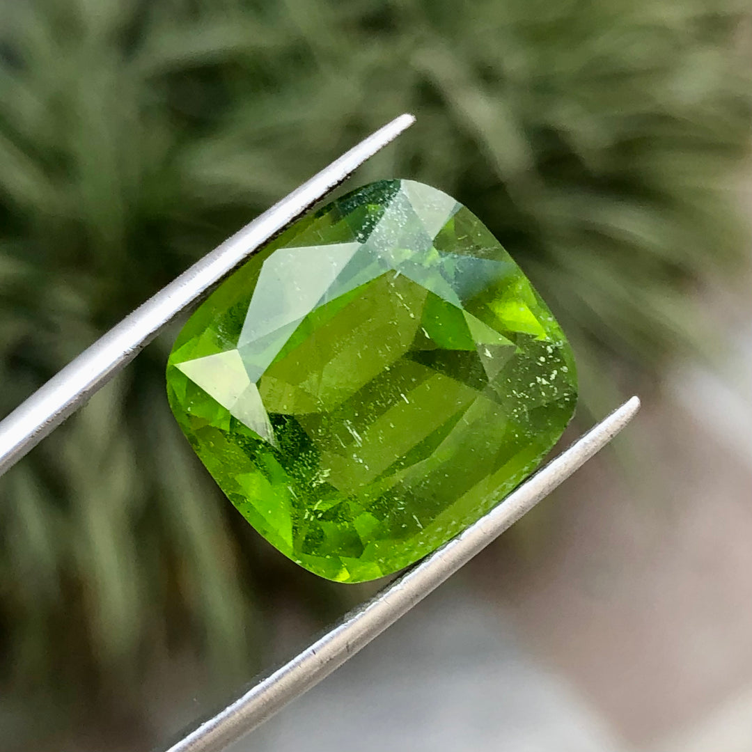 23.30 Carats Faceted Peridot - Noble Gemstones®