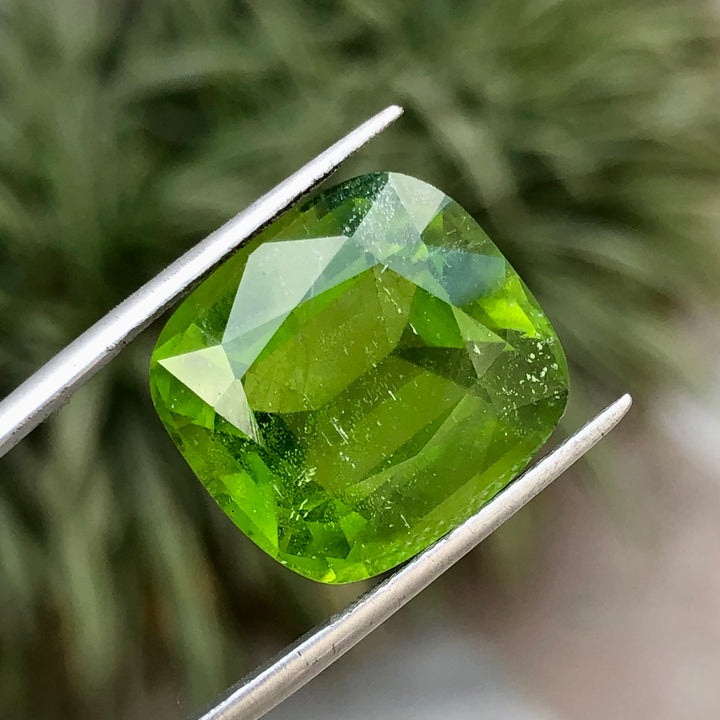 23.30 Carats Faceted Peridot - Noble Gemstones®