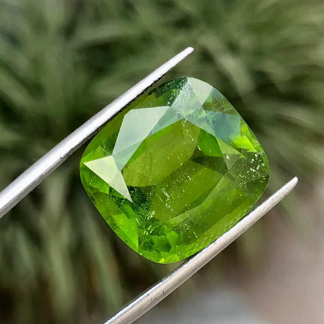 23.30 Carats Faceted Peridot - Noble Gemstones®