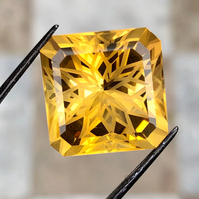 27.60 Carats Faceted Citrine - Noble Gemstones®