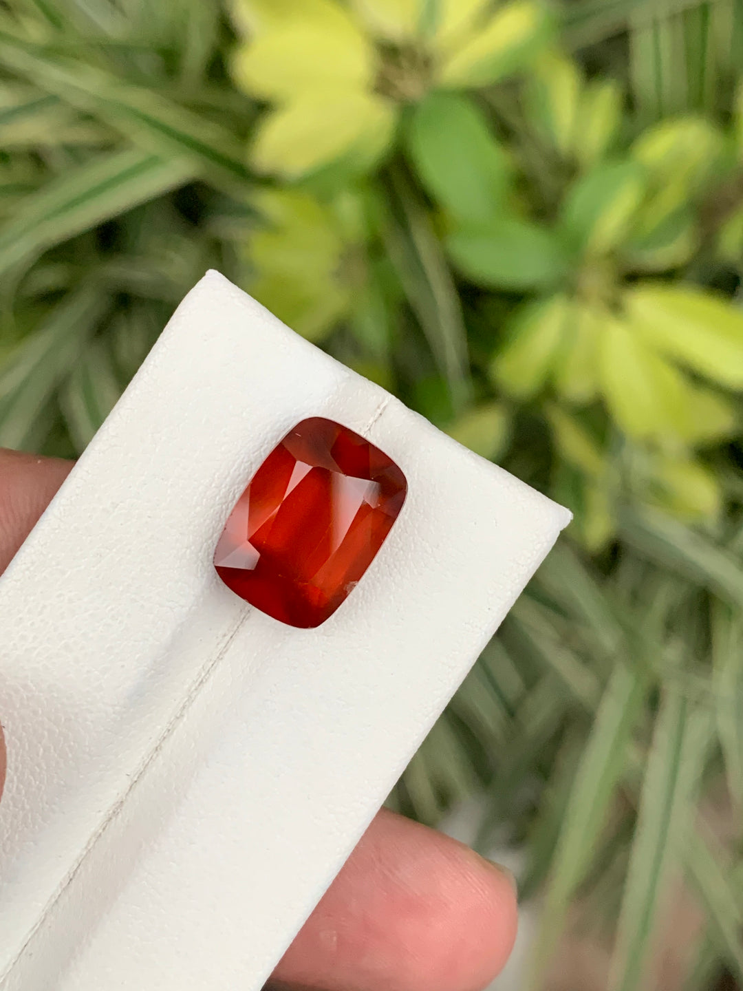 11.25 Carats Faceted Hessonite Garnet - Noble Gemstones®