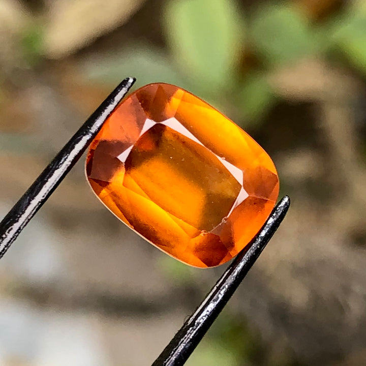 6.80 Carats Faceted Hessonite Garnet - Noble Gemstones®