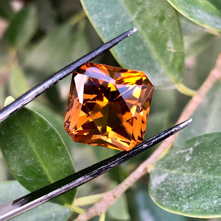 15.50 Carats Faceted Citrine - Noble Gemstones®