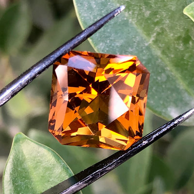 15.50 Carats Faceted Citrine - Noble Gemstones®