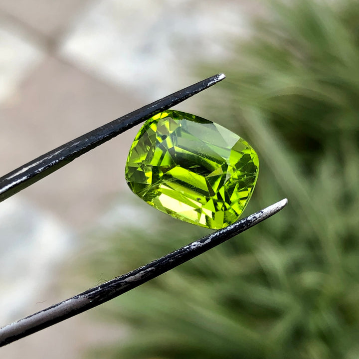 8.25 Carats Faceted Peridot - Noble Gemstones®