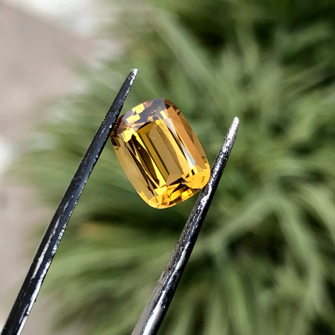 3.70 Carats Faceted Citrine - Noble Gemstones®