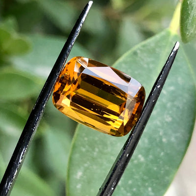 6.85 Carats Faceted Citrine - Noble Gemstones®