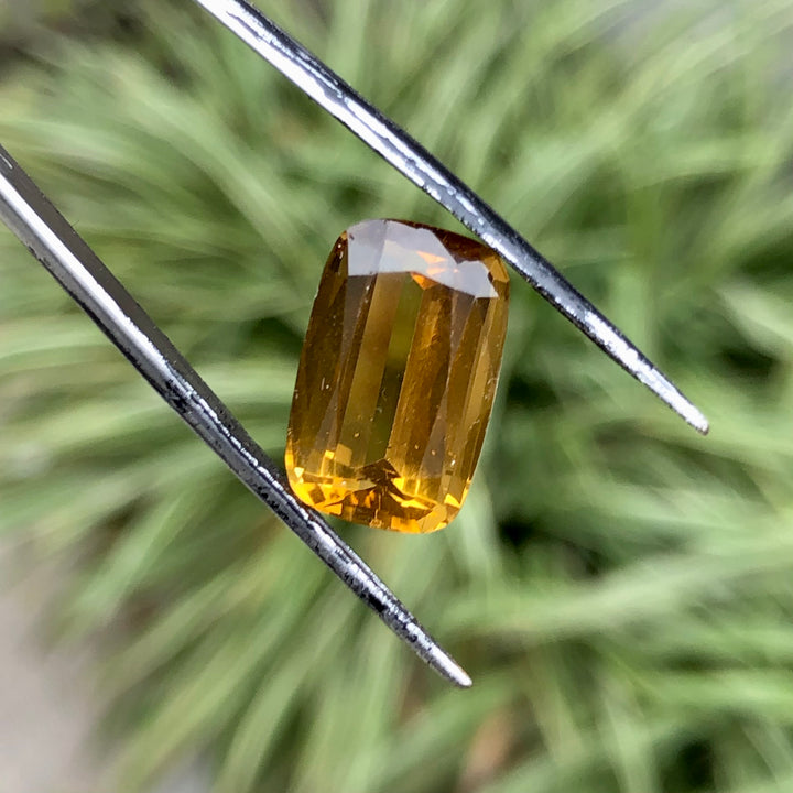 7.65 Carats Faceted Citrine - Noble Gemstones®