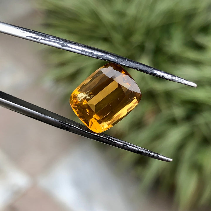 6.05 Carats Faceted Citrine - Noble Gemstones®