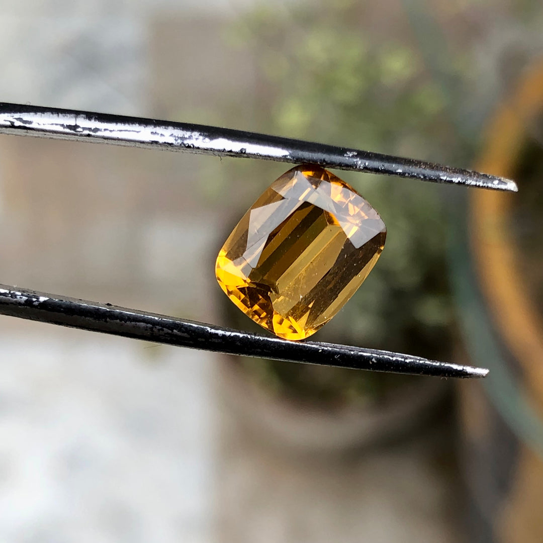 3.40 Carats Faceted Citrine - Noble Gemstones®