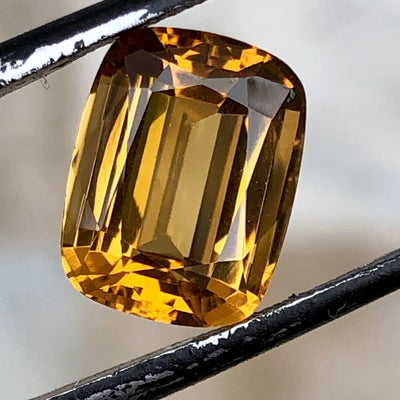 4.00 Carats Faceted Citrine - Noble Gemstones®