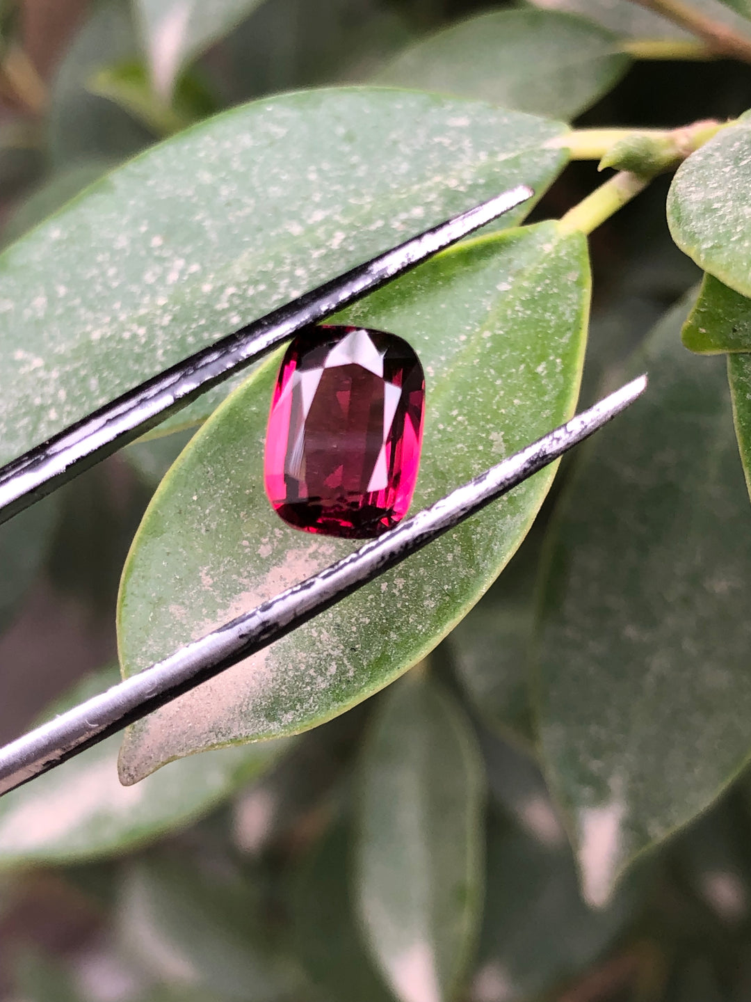 2.30 Carats Faceted Rhodolite Garnet - Noble Gemstones®