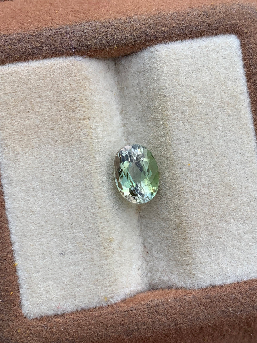 1.20 Carats Faceted Bi-Color Tourmaline