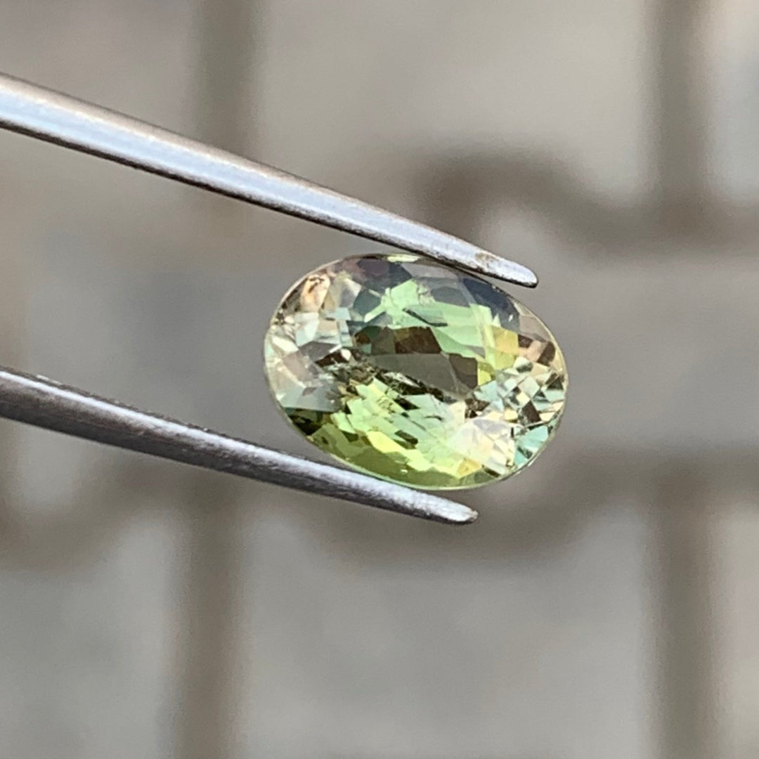 1.20 Carats Faceted Bi-Color Tourmaline