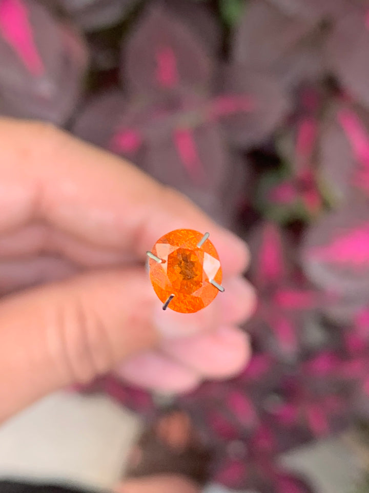 2.75 Carats Faceted Spessartine Garnet - Noble Gemstones®