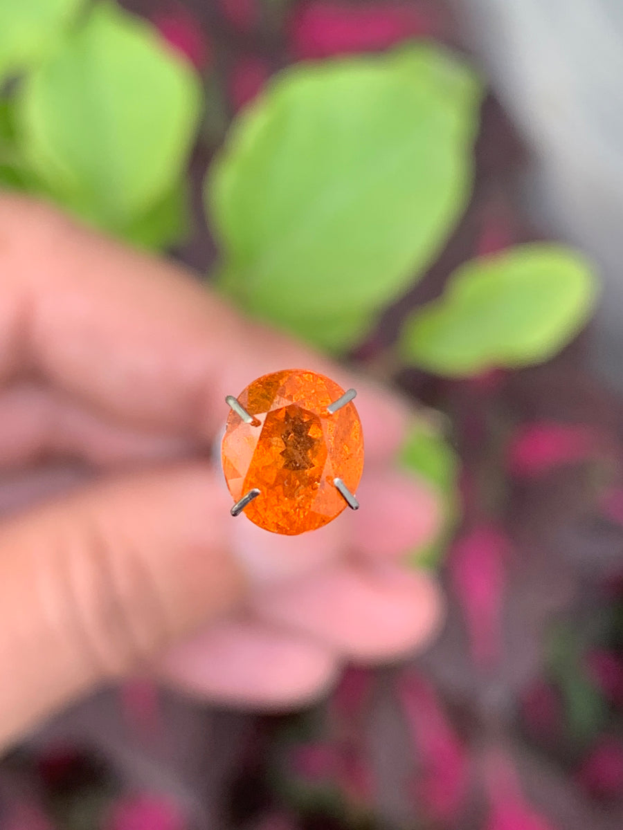 2.75 Carats Faceted Spessartine Garnet - Noble Gemstones®