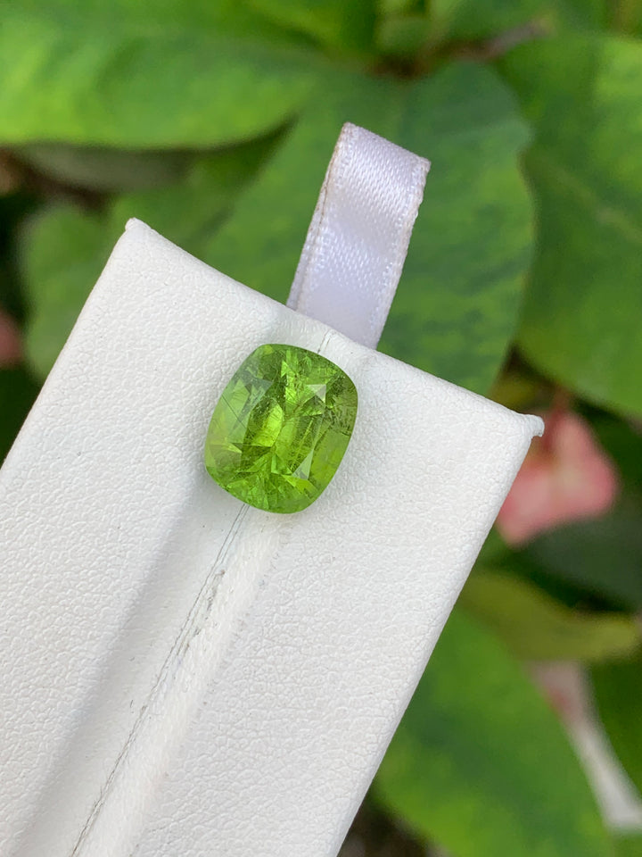 6.10 Carats Faceted Peridot - Noble Gemstones®