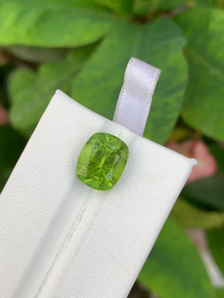 6.10 Carats Faceted Peridot - Noble Gemstones®