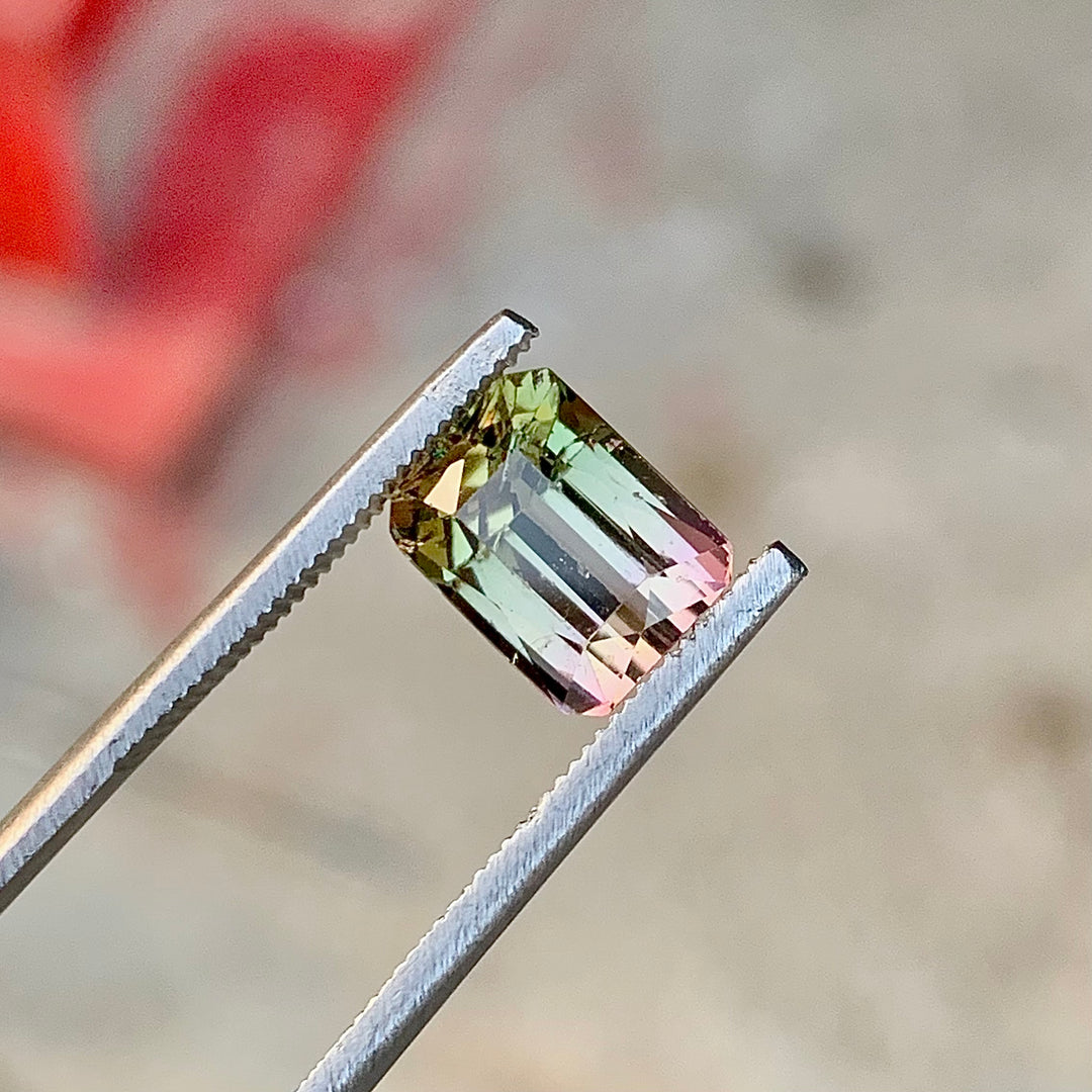 2.50 Carats Bi-Color Faceted African Tourmaline