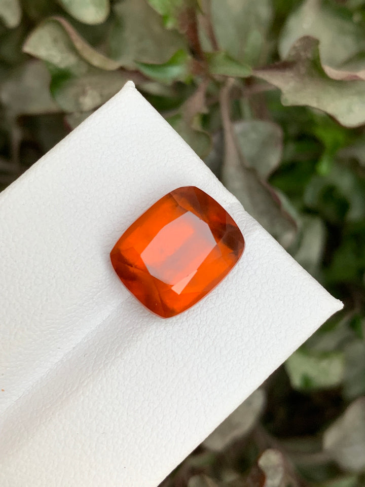 9.65 Carats Faceted Hessonite Garnet - Noble Gemstones®