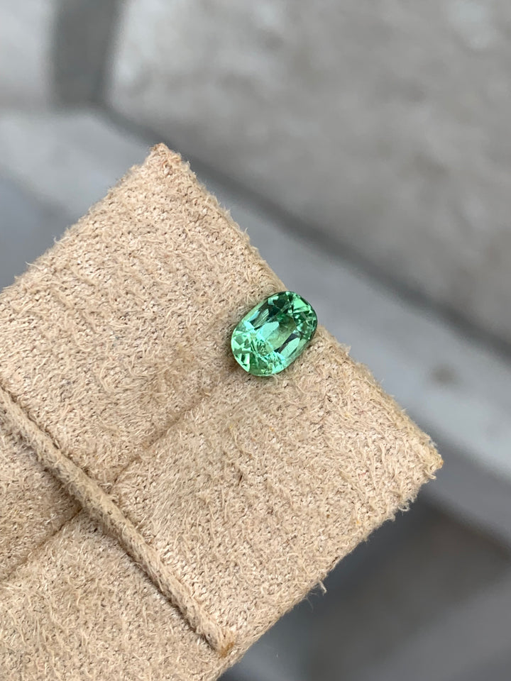 1.10 Carats Faceted Mint Tourmaline