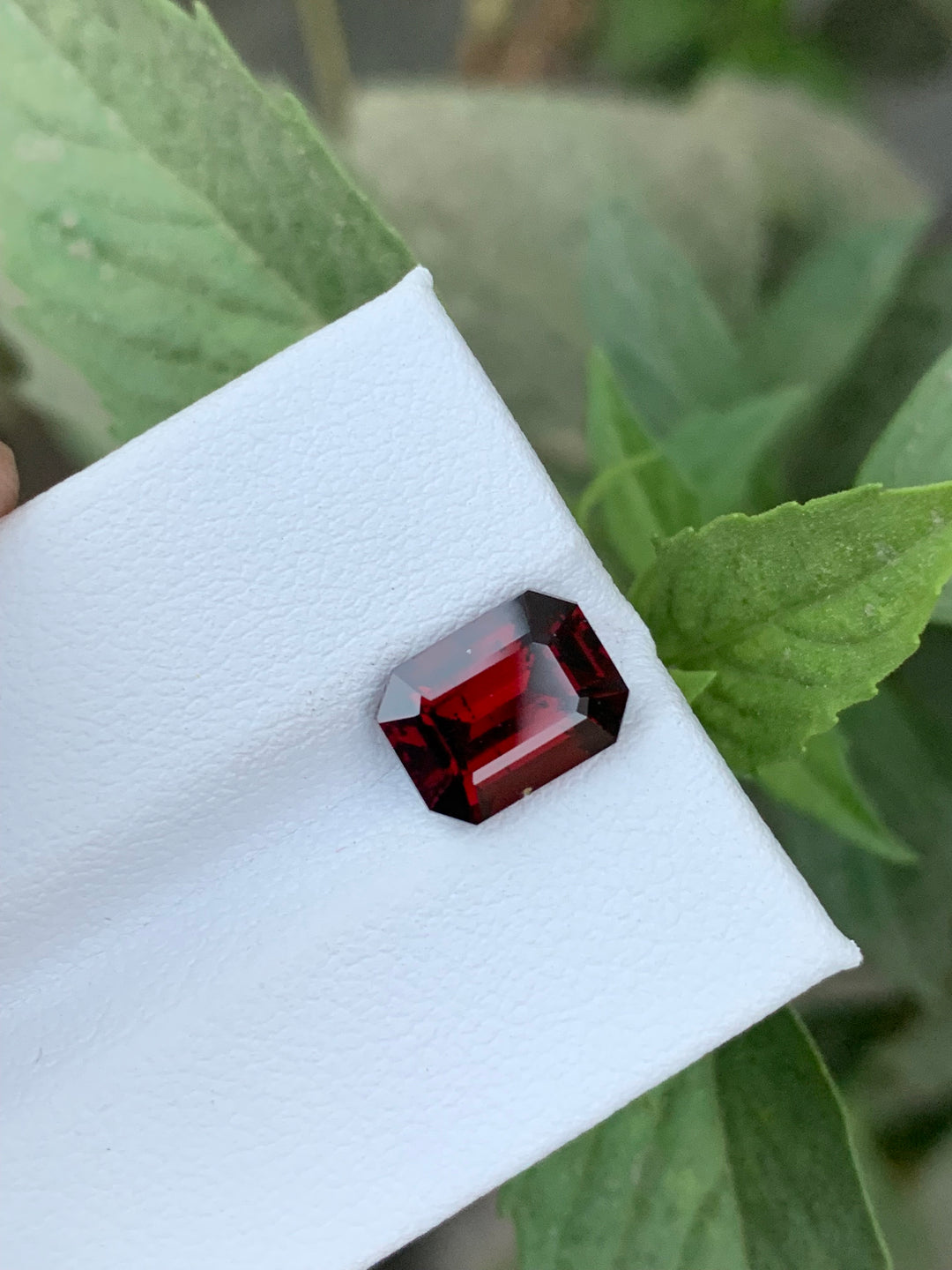 3.40 Carats Faceted Rhodolite Garnet - Noble Gemstones®