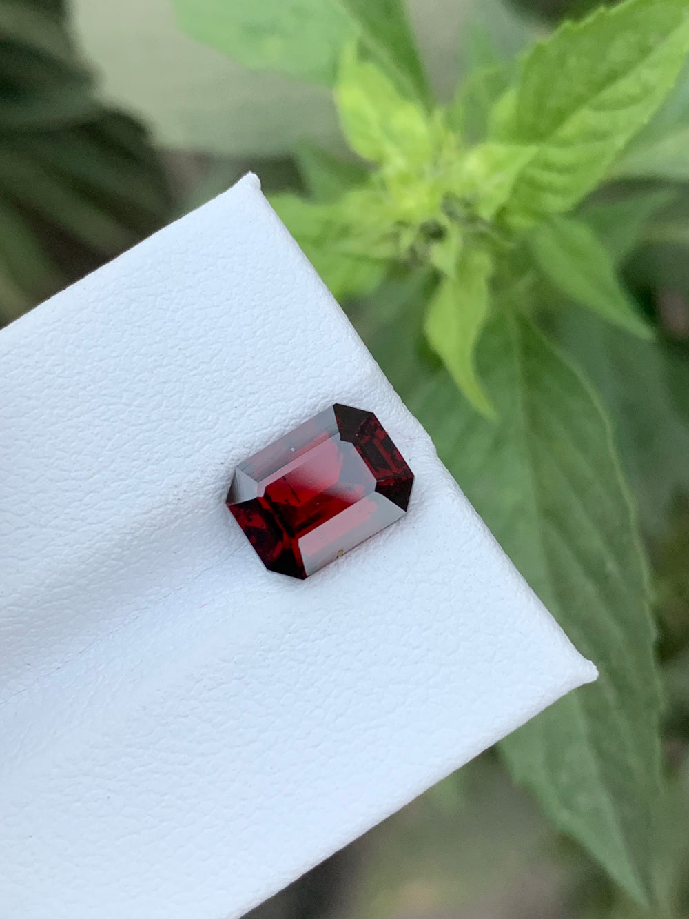 3.40 Carats Faceted Rhodolite Garnet - Noble Gemstones®