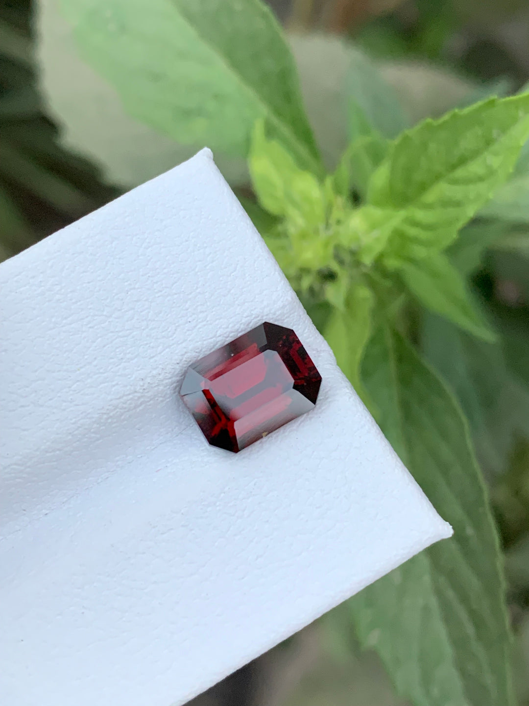 3.40 Carats Faceted Rhodolite Garnet - Noble Gemstones®