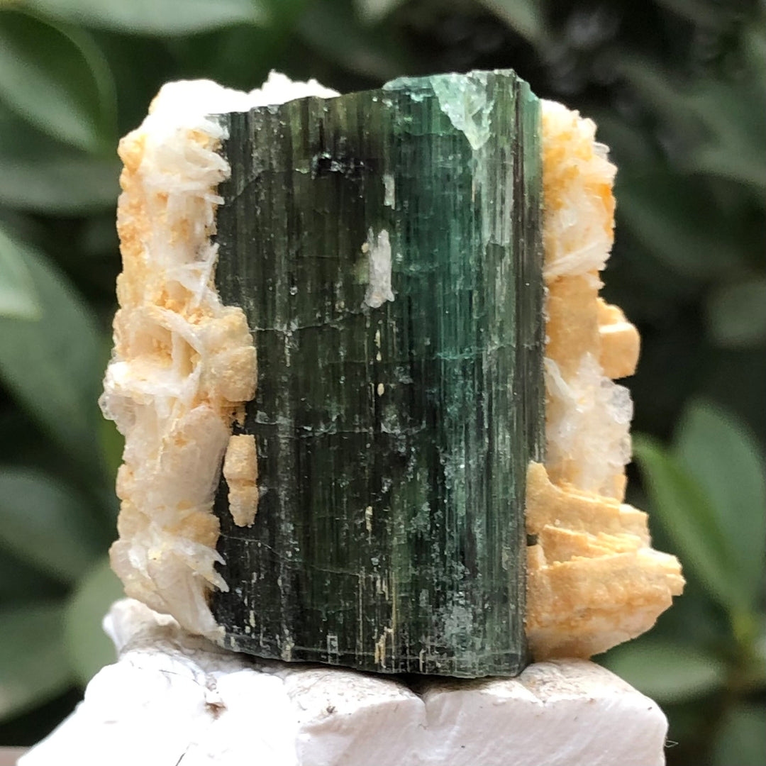 50 Grams Tourmaline Specimen - Noble Gemstones®