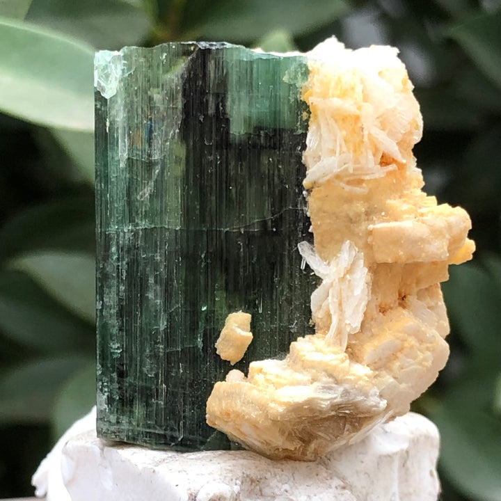 50 Grams Tourmaline Specimen - Noble Gemstones®