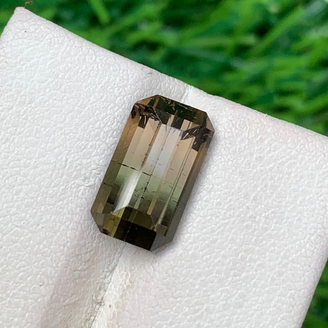 5.50 Carats Bi-Color Faceted Tourmaline - Noble Gemstones®