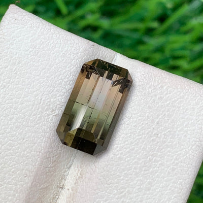 5.50 Carats Bi-Color Faceted Tourmaline - Noble Gemstones®