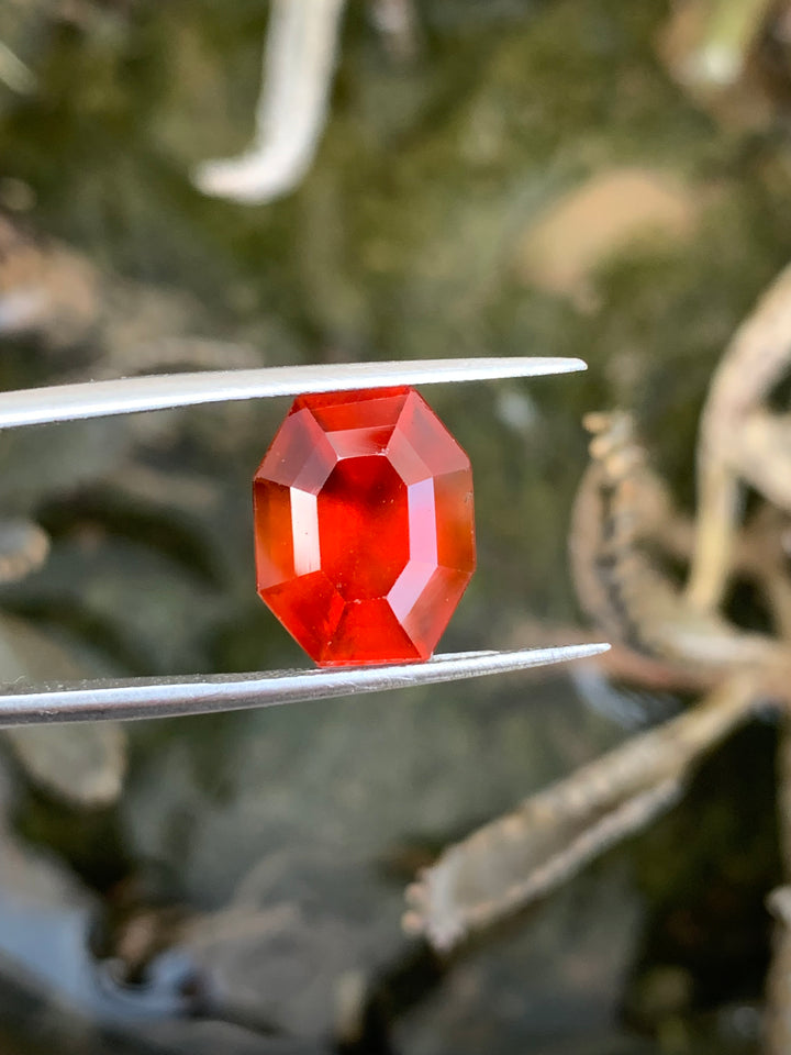 9.0 Carats Faceted Hessonite Garnet - Noble Gemstones®