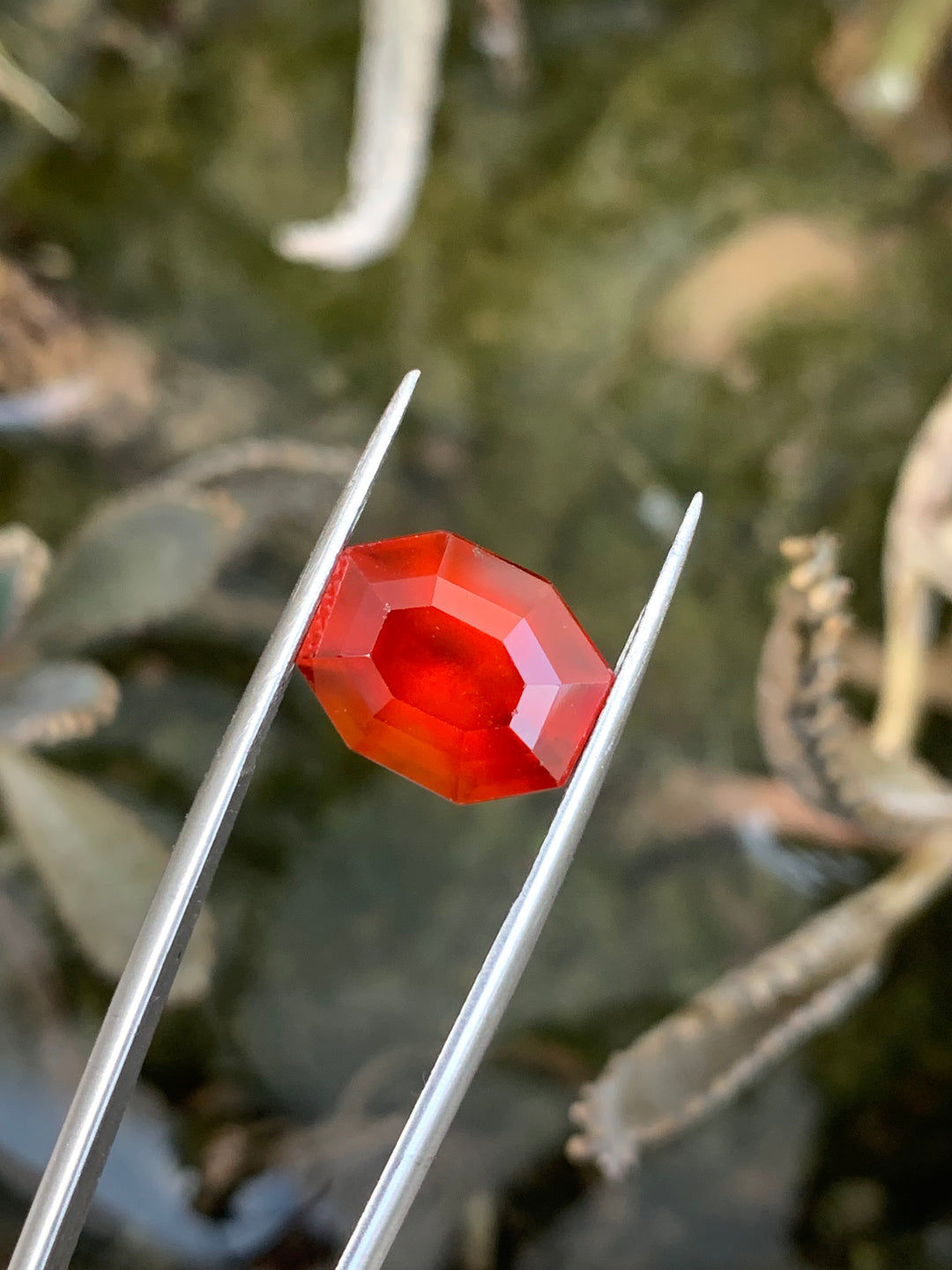 9.0 Carats Faceted Hessonite Garnet - Noble Gemstones®