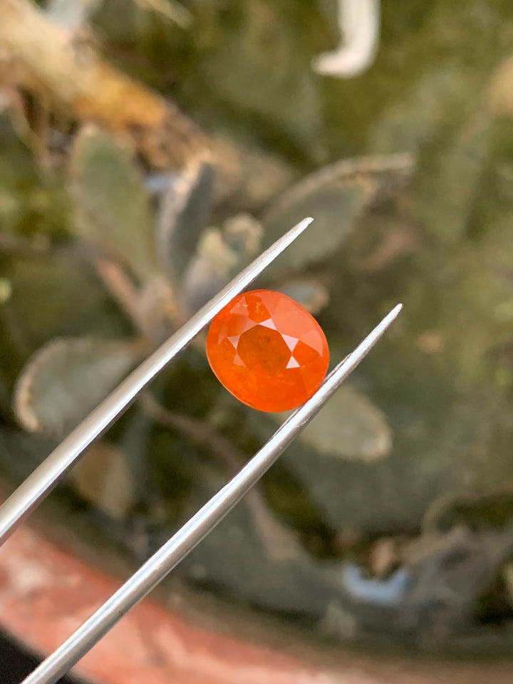 4.10 Carats Faceted Spessartite Garnet - Noble Gemstones®