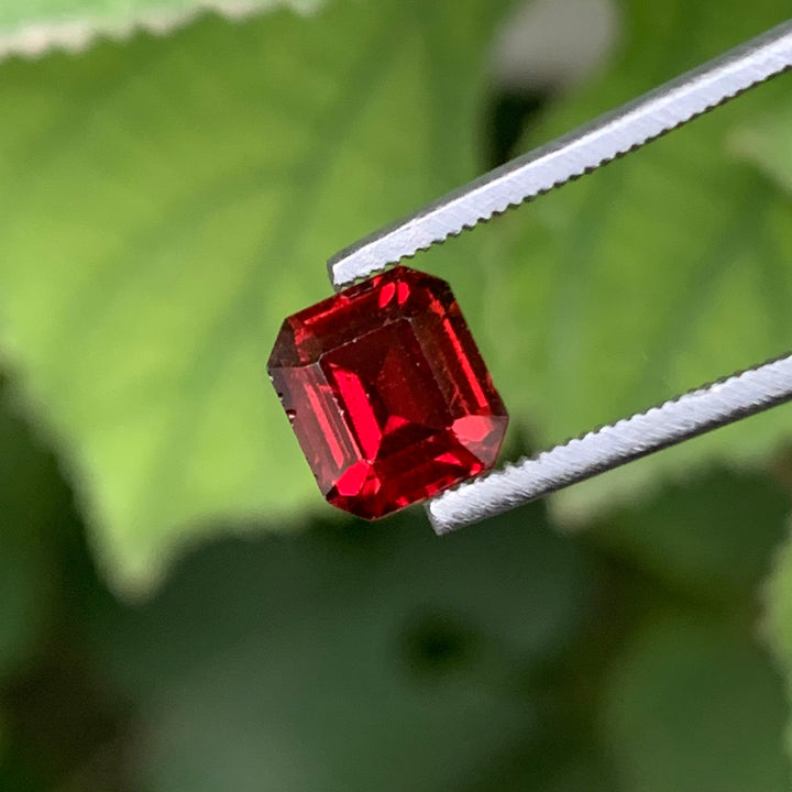 1.50 Carats Faceted Beautiful Semi-Precious Rhodolite Garnet