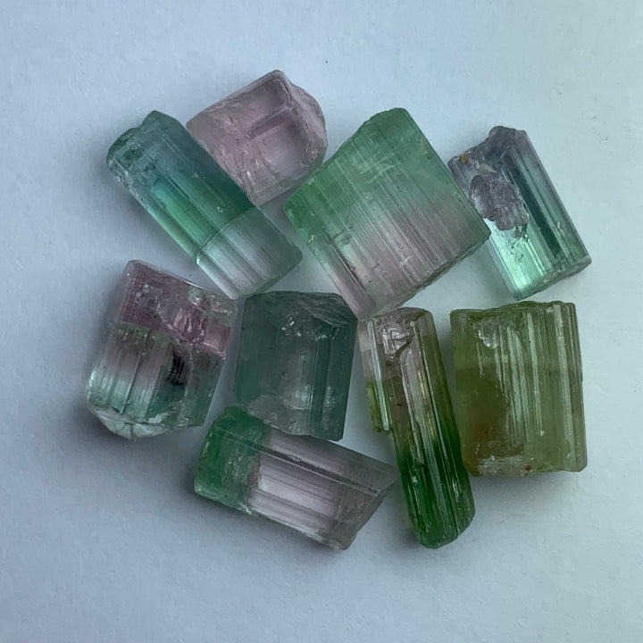 8 Grams Cabs Grade Bi-Color Tourmalines / Tourmaline Crystals