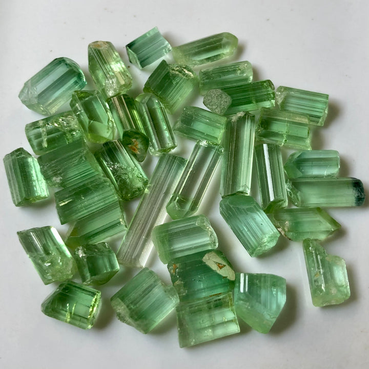 14.73 Grams Greenish Facet Rough Tourmaline For Sale - Noble Gemstones®