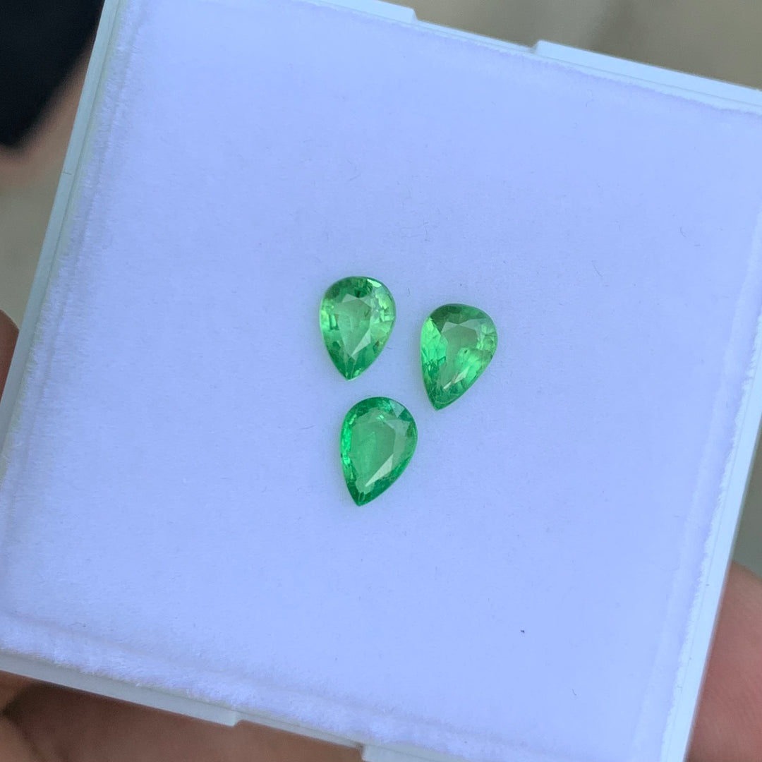 0.70 Carats Each Faceted Tsavorite Garnets